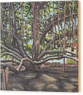 Banyan Tree Lahaina Maui Wood Print