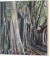 Banyan Trees Wood Print