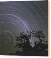 Baobab And Star Trails  Botswana Wood Print