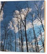 Bare Trees Fluffy Clouds Wood Print