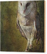 Barn Owl Wood Print