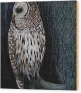 Barred Owl On A Mossy Perch Wood Print