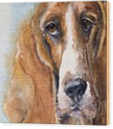 Basset Hound Wood Print