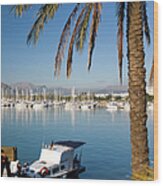 Bay And Marina, With Palm-tree In Wood Print