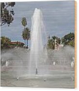 Bea Evenson Fountain In Balboa Park Wood Print