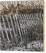 Beach Fence On Tybee Island Wood Print