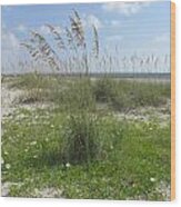 Beach Flowers And Oats 2 Wood Print