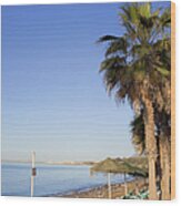 Beach Scenery In Marbella Wood Print