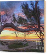 Beach Tree Sunset View Wood Print