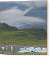 Beached Icebergs Sit In Columbia Bay Wood Print