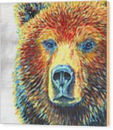 Bear Thoughts Wood Print