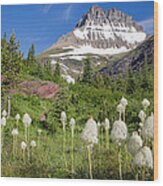 Beargrass Blooms In Many Glacier Valley Wood Print