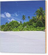 Beautiful Beach On Maldives Wood Print