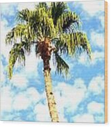 Beautiful Palm Tree Silhouetted Against Blue Cloudy Sky Wood Print