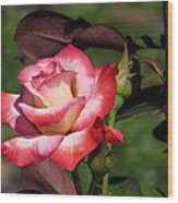 Beautiful Rose Wood Print