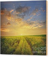 Beautiful Sunsets Photos Wood Print