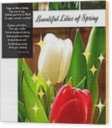 Beautiful Tulip Series 1 Wood Print