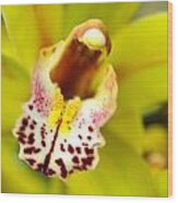 Beautiful Yellow Orchid Wood Print