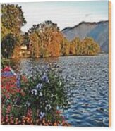 Beauty Of Lake Lugano Wood Print