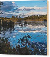 Beaver Pond - Pine Lands Nj Wood Print