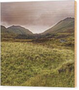 Ben Lawers - Scotland - Mountain - Landscape Wood Print