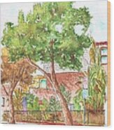 Bended Tree In Horn Drive - Hollywood Hills - Los Angeles - California Wood Print