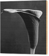 A Black White Art Flower Photo Image Print By Nadja Drieling Photography Shop Online Art-work #3 Wood Print