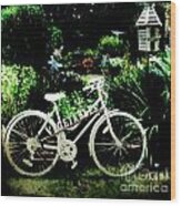 Bicycle And Bird House Wood Print