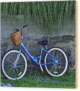 Bicycle At Rest Wood Print