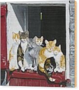 Biddles Barn Kitties Wood Print