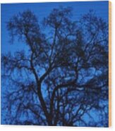 Big Blue Sky Oak Wood Print