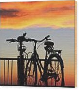 Bikes West Meadow Beach New York Wood Print