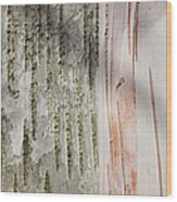 Birch Bark 11 Wood Print