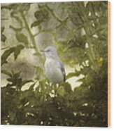 Bird In A Bush Wood Print