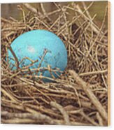 Bird Nest Easter Egg Basket Wood Print