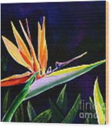 Bird Of Paradise Wood Print