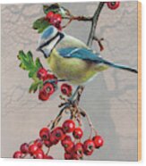 Bird On Branch With Berries, Blue Tit Wood Print