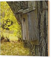 Birdhouse Wood Print