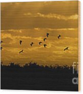 Birds Coming Back To Roost At Sunset Wood Print