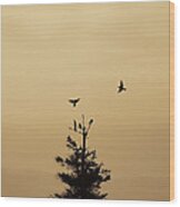 Birds Flying And Landing In Tree Dolly Sods Wood Print