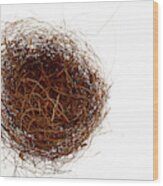 Bird's Nest Wood Print