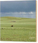 1009a Bison And Riders Wood Print