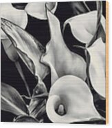 Black And White Calla Lilies Wood Print