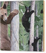 Black Bear Family Wood Print
