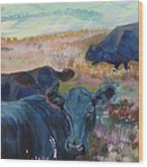 Black Cows On Dartmoor Wood Print