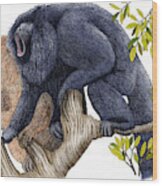 Black Howler Monkeys Wood Print