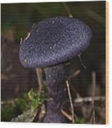 Black Mushroom Wood Print