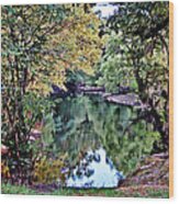 Black River Reflections Wood Print