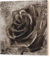 Black Rose Eternal Sepia Wood Print