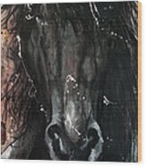 Black Stallion Wood Print